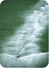 Sprinkler, Irrigation Systems in Nantucket, MA